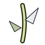 Mutations
